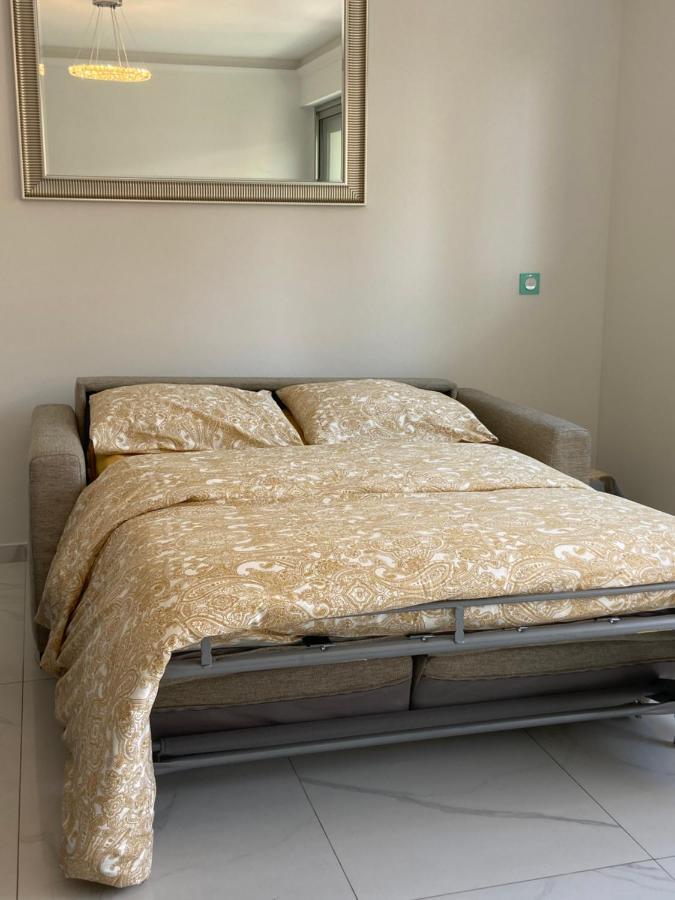 Le Royal, Spacious Seaside Apartment Rooftop And Pool นีซ ภายนอก รูปภาพ